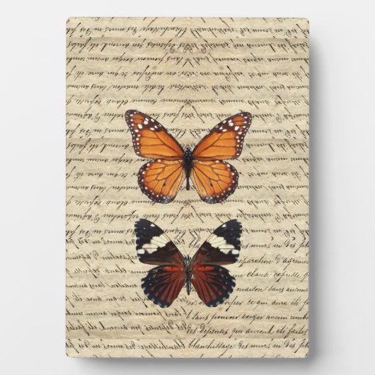 Schmetterlinge Fotoplatte (Vorderseite)