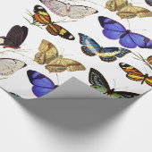 Schmetterlinge Geschenkpapier (Ecke)