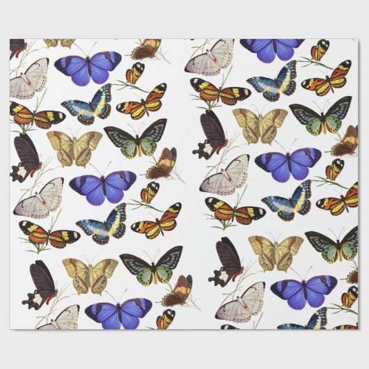 Schmetterlinge Geschenkpapier (Flach)