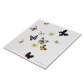 Schmetterlinge geschossen auf Weiß Fliese (Seite)