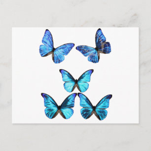 Schmetterlinge glühende Postkarte