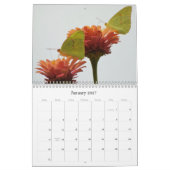 Schmetterlinge im Blumengarten-Kalender Kalender (Jan 2027)