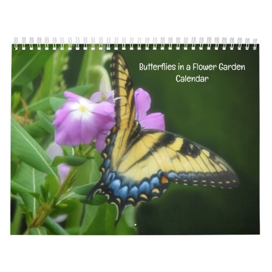 Schmetterlinge im Blumengarten-Kalender Kalender (Titelbild)