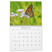 Schmetterlinge im Naturkalender Kalender (Feb 2027)