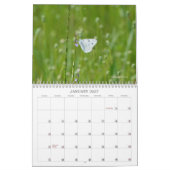 Schmetterlinge im Naturkalender Kalender (Jan 2027)