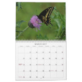Schmetterlinge im Naturkalender Kalender (Mär 2027)