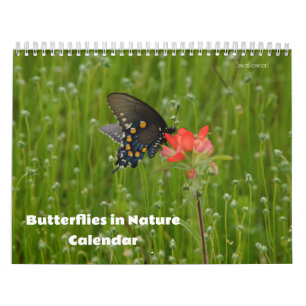 Schmetterlinge im Naturkalender Kalender