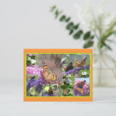 Schmetterlinge im Summer Collage DIY Postkarte (Stehend Vorderseite)
