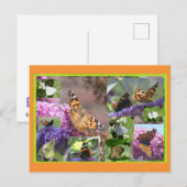 Schmetterlinge im Summer Collage DIY Postkarte (Vorne/Hinten)