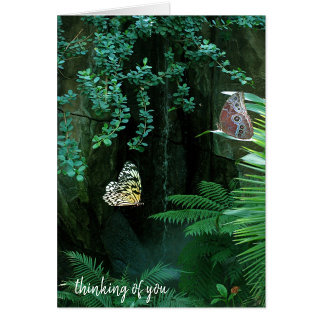 Schmetterlinge im tropischen Garten (Vorne)