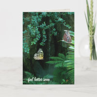 Schmetterlinge im tropischen Garten, um sich bald 