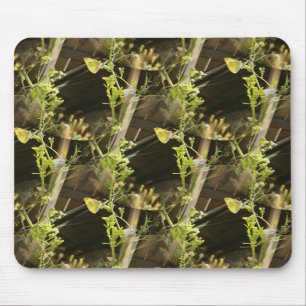 Schmetterlinge in der Liebe.... Mousepad