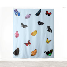Schmetterlinge in Sky Tapestry