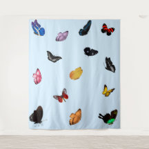 Schmetterlinge in Sky Tapestry