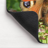 Schmetterlinge, Insekten, Hintergrund der Blume Mousepad (Ecke)