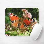 Schmetterlinge, Insekten, Hintergrund der Blume Mousepad (Mit Mouse)