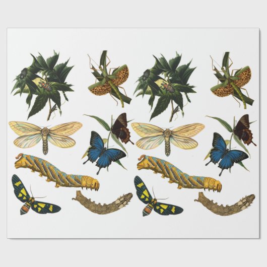 Schmetterlinge Käfer Bugs Insekten Collage Art Geschenkpapier (Flach)
