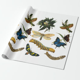 Schmetterlinge Käfer Bugs Insekten Collage Art Geschenkpapier
