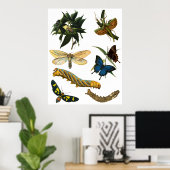 Schmetterlinge Käfer Bugs Insekten Collage Art Poster (Heimbüro)