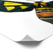 Schmetterlinge Käfer Bugs Insekten Collage Art Poster (Ecke)