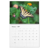 Schmetterlinge Kalender (Feb 2027)