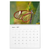 Schmetterlinge Kalender (Mär 2027)