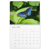 Schmetterlinge Kalender (Jan 2027)