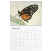Schmetterlinge Kalender (Mär 2027)