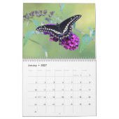 Schmetterlinge Kalender (Jan 2027)