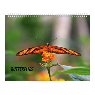 Schmetterlinge Kalender