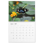 Schmetterlinge Kalender (Mär 2027)
