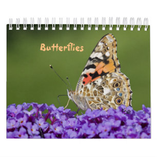 Schmetterlinge Kalender