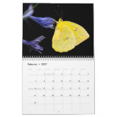 Schmetterlinge-Kalender 2025 Kalender (Feb 2027)