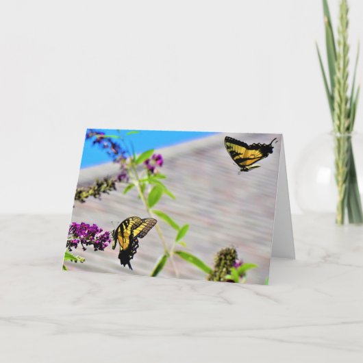 Schmetterlinge, Karte (Vorderseite)