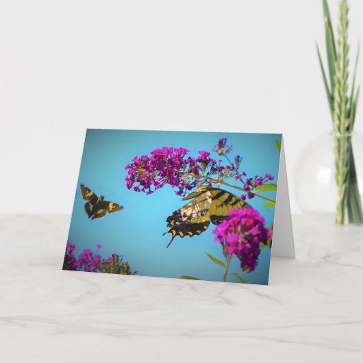 Schmetterlinge, Karte (Vorderseite)