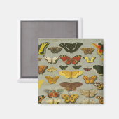 Schmetterlinge Magnet (Vorderseite/Rückseite)