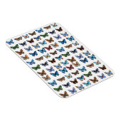 Schmetterlinge Magnet (Rechte Seite)