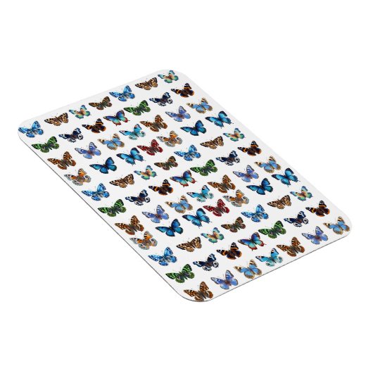 Schmetterlinge Magnet (Rechte Seite)