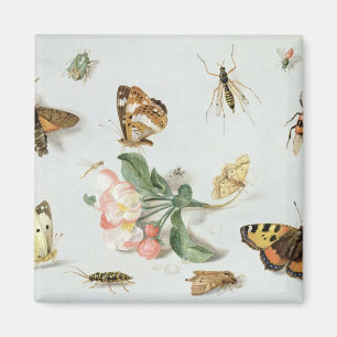 Schmetterlinge, Motten und andere Insekten Magnet