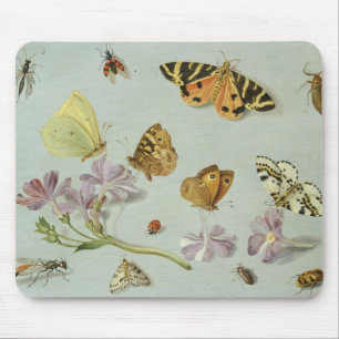 Schmetterlinge, Motten und andere Insekten Mousepad