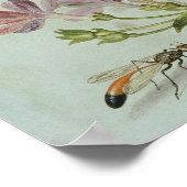 Schmetterlinge, Motten und andere Insekten Poster (Ecke)