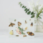 Schmetterlinge, Motten und andere Insekten Postkarte (Stehend Vorderseite)