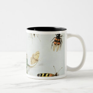 Schmetterlinge, Motten und andere Insekten Zweifarbige Tasse