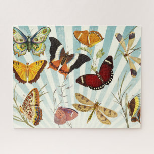 Schmetterlinge Natur Schmetterling Puzzle