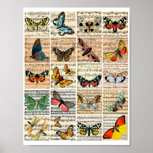 Schmetterlinge Notenblatt Vintage Ephemera Kunst Poster