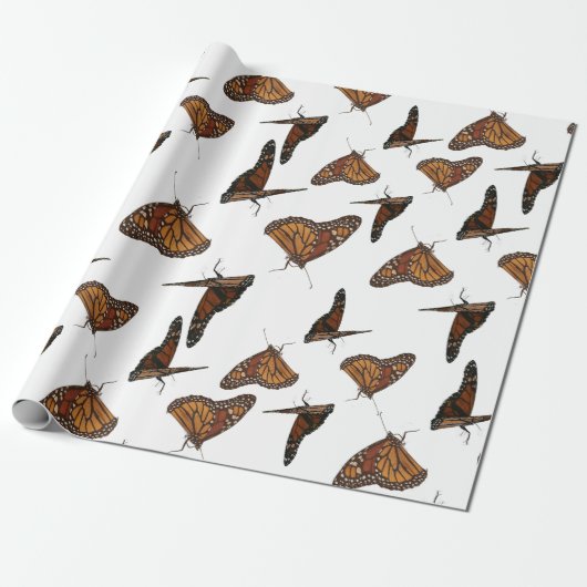 Schmetterlinge orange  geschenkpapier (Ungerollt)