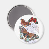 Schmetterlinge - orange und braun magnet (Vorderseite/Rückseite)