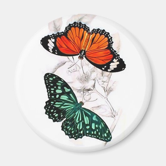 Schmetterlinge - orange und grün magnet (Vorne)