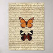 Schmetterlinge Poster (Vorne)