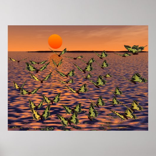 Schmetterlinge Poster (Vorne)